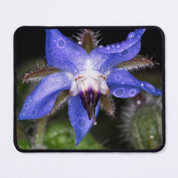 Item preview, Colour Macros in the Rain (2) designed and sold by Wolf Sverak Photography.