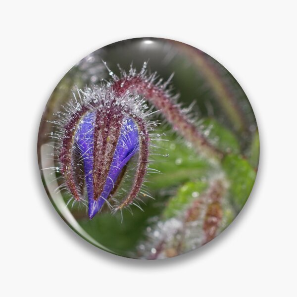 Item preview, Colour Macros in the Rain (1) designed and sold by Wolf Sverak Photography.