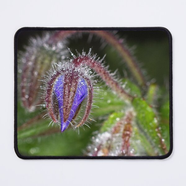 Item preview, Colour Macros in the Rain (1) designed and sold by Wolf Sverak Photography.