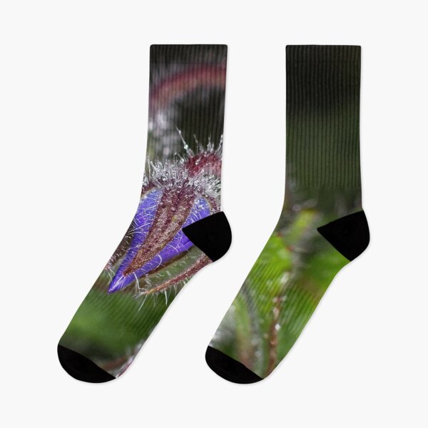 Item preview, Colour Macros in the Rain (1) designed and sold by Wolf Sverak Photography.