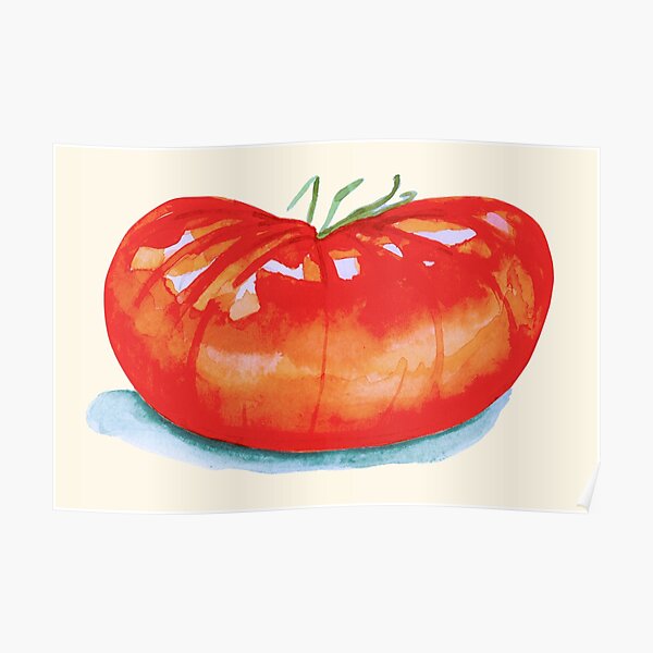 "Heirloom Tomato Watercolor Painting" Poster for Sale by lisaadesign