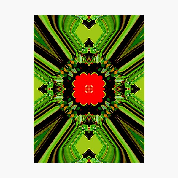 Item preview, Red Rose designed and sold by SDC Original Designs.