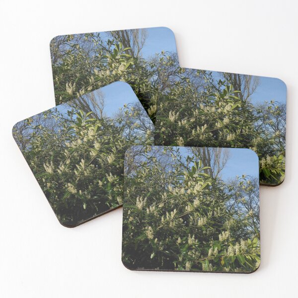 Item preview, Spring Blossoms designed and sold by BlueMoonRose.