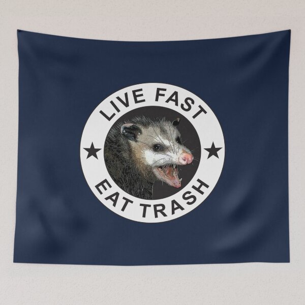 Item preview, Live Fast Eat Trash designed and sold by HaTuanKACA.