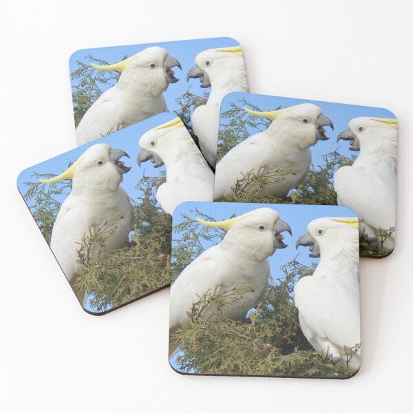 Item preview, two bird cute designed and sold by MichaeHousto.