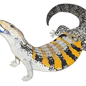 Artwork thumbnail, Blue Tongue Skink by TinkerandBone