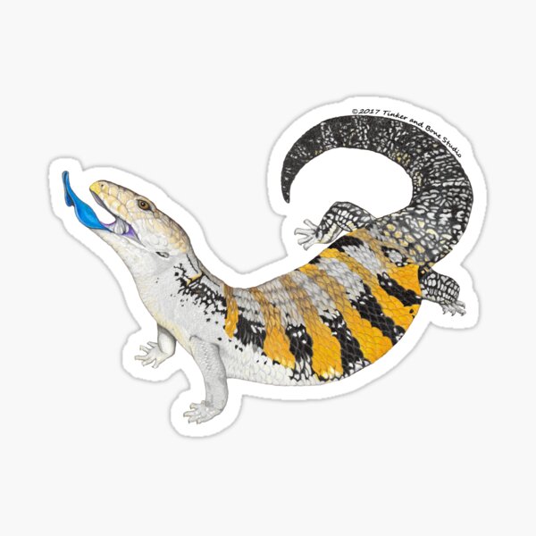 Item preview, Blue Tongue Skink designed and sold by TinkerandBone.
