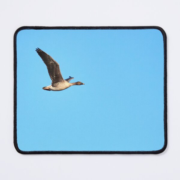 Item preview, Bean goose flying designed and sold by Jouko Lehto Photography.