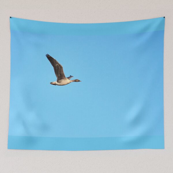 Item preview, Bean goose flying designed and sold by Jouko Lehto Photography.