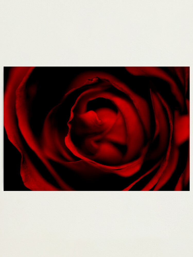 Alternate view of Entering the Rose Photographic Print