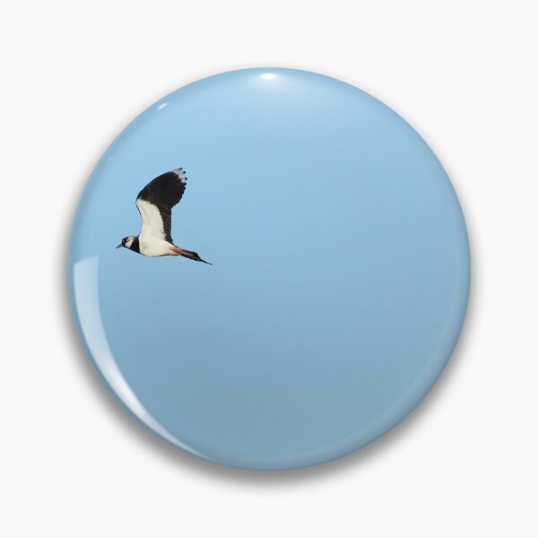 Item preview, We can fly this way. Northern lapwing designed and sold by Jouko Lehto Photography.