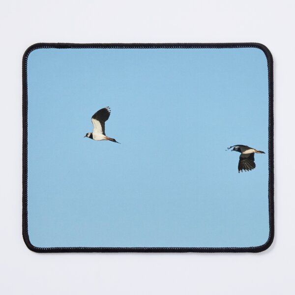 Item preview, We can fly this way. Northern lapwing designed and sold by Jouko Lehto Photography.
