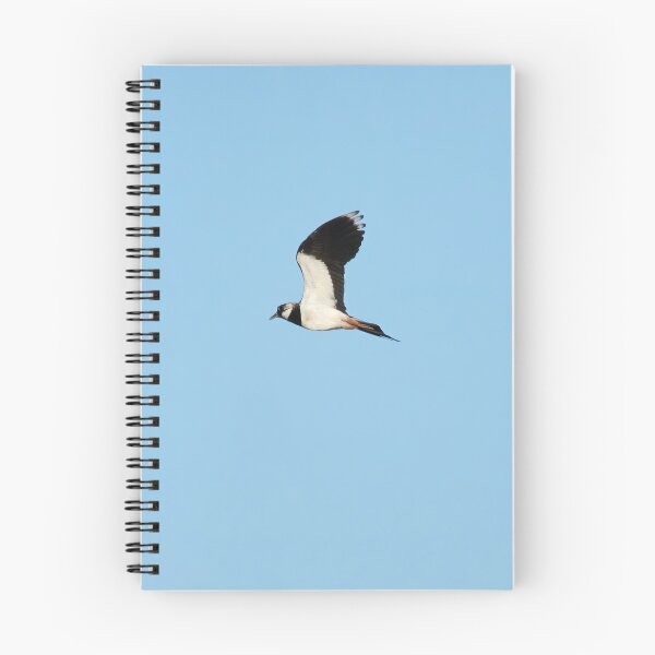 Item preview, We can fly this way. Northern lapwing designed and sold by Jouko Lehto Photography.
