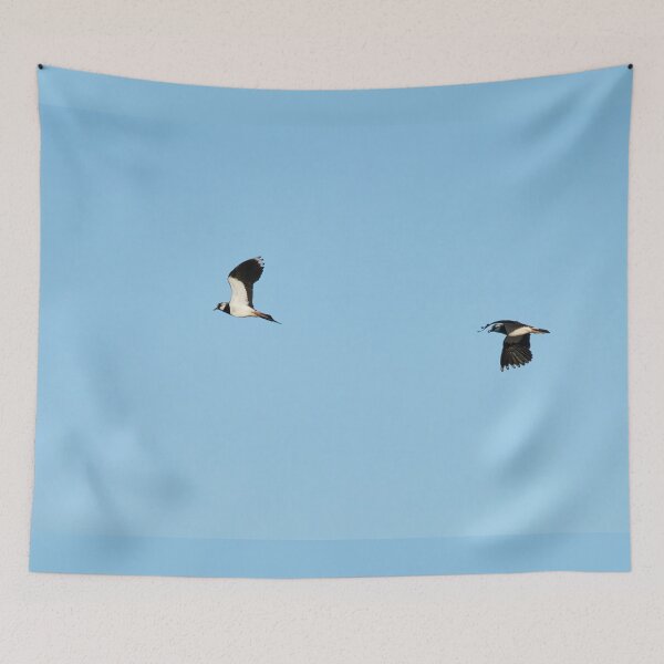 Item preview, We can fly this way. Northern lapwing designed and sold by Jouko Lehto Photography.