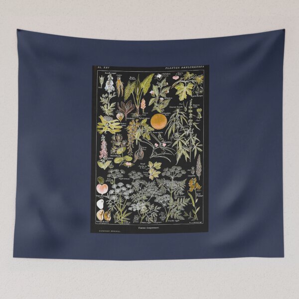 Item preview, Adolphe Millot  Plantes dangereuses B dangerous plants B designed and sold by VanDenJH.