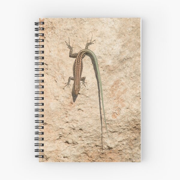 Item preview, Oertzen Rock Lizard - Rhodes, Greece designed and sold by Chris Monks.