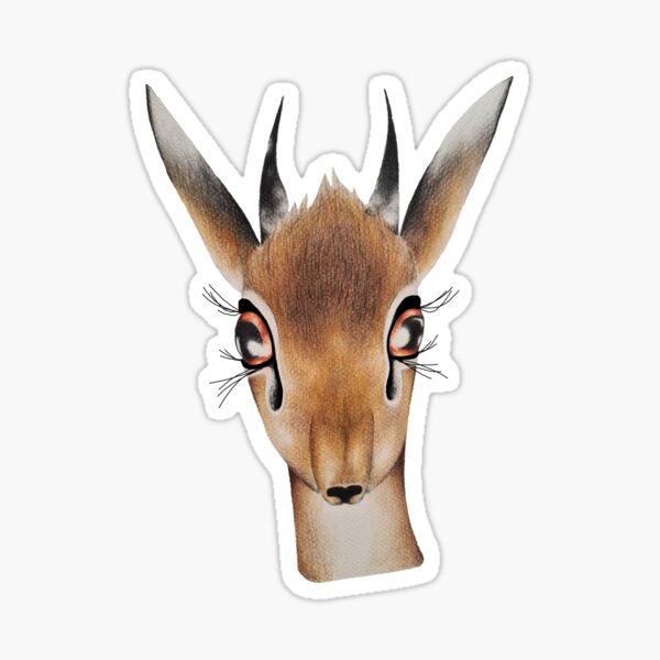Dik Dik - South African Antelope Sticker