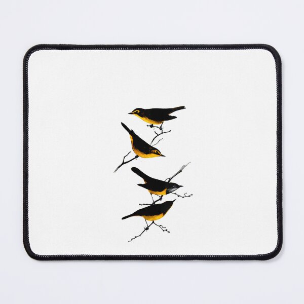 Item preview,  Kentucky and Connecticut Warbler designed and sold by TARABENNIE01.