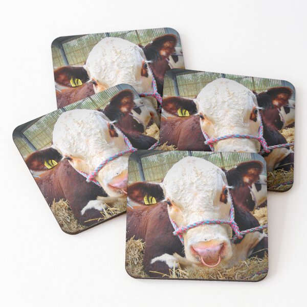 Item preview, Pedigree Hereford Cow Cattle designed and sold by AndyEvansPhotos.