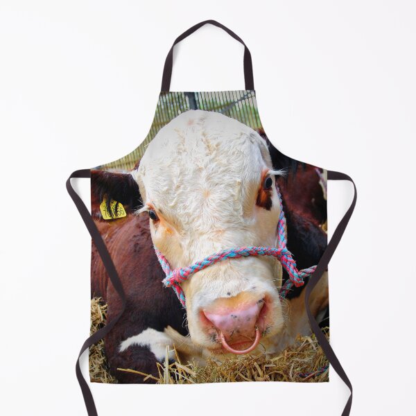 Item preview, Pedigree Hereford Cow Cattle designed and sold by AndyEvansPhotos.