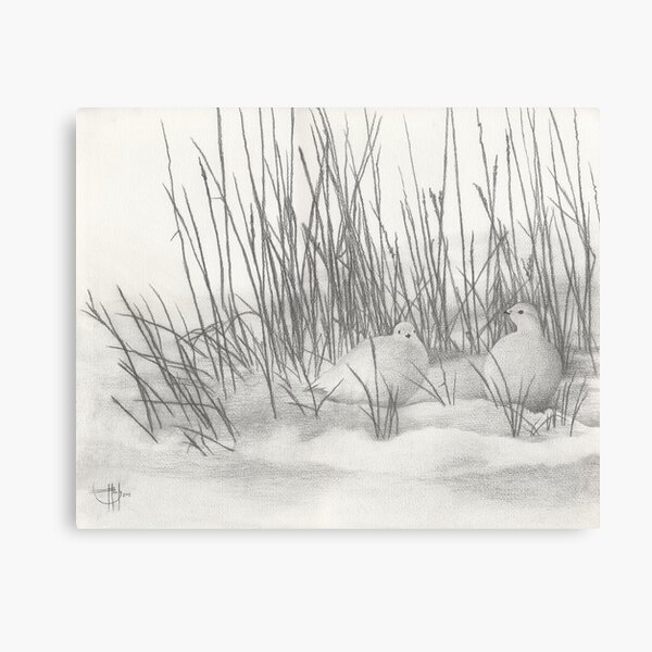 Item preview, Ptarmigan Shadows designed and sold by John Houle.