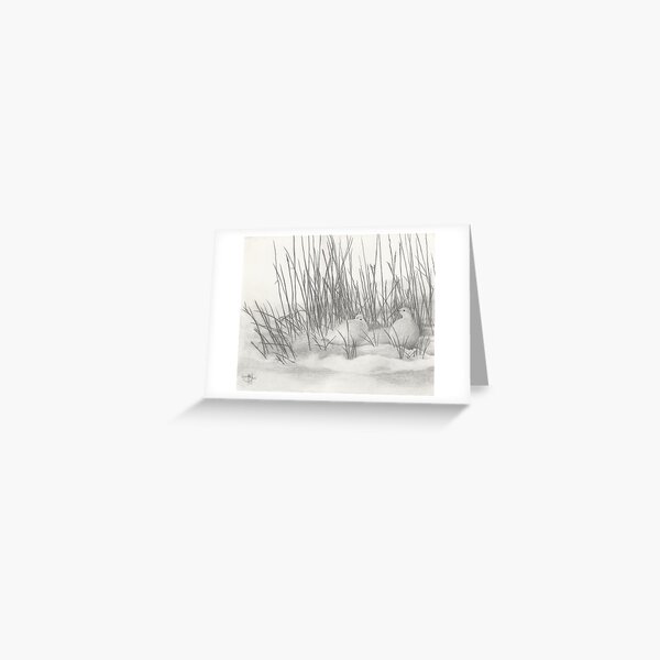 Ptarmigan Shadows Greeting Card