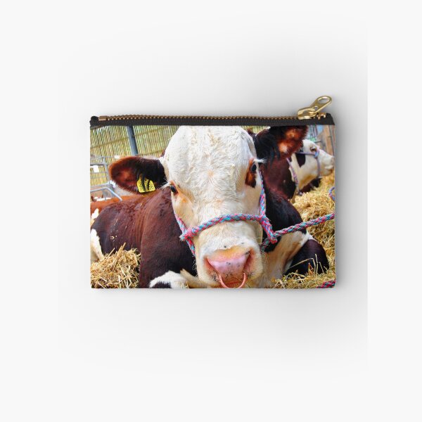 Item preview, Pedigree Hereford Cow Cattle designed and sold by AndyEvansPhotos.