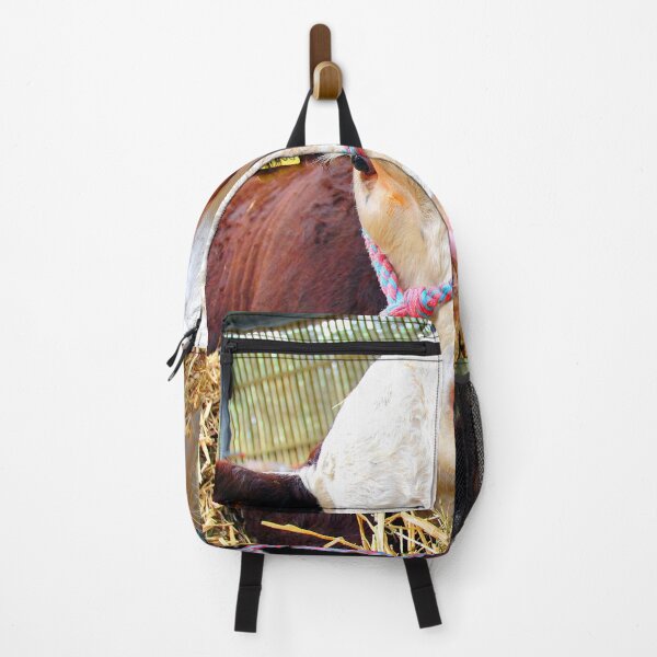 Item preview, Pedigree Hereford Cow Cattle designed and sold by AndyEvansPhotos.