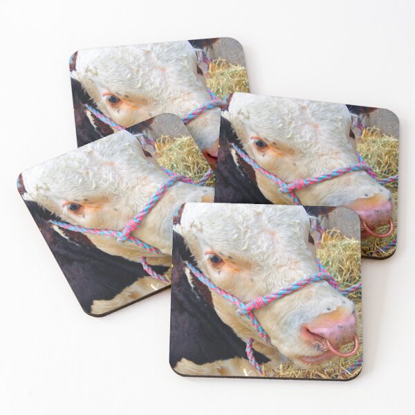 Item preview, Pedigree Hereford Cow Cattle designed and sold by AndyEvansPhotos.