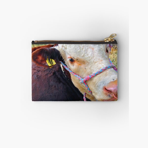 Item preview, Pedigree Hereford Cow Cattle designed and sold by AndyEvansPhotos.