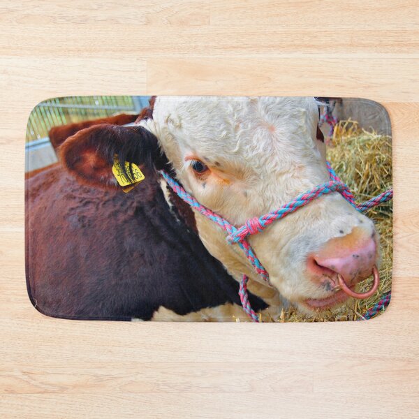 Item preview, Pedigree Hereford Cow Cattle designed and sold by AndyEvansPhotos.
