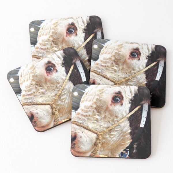 Item preview, Pedigree Hereford Cow Cattle designed and sold by AndyEvansPhotos.