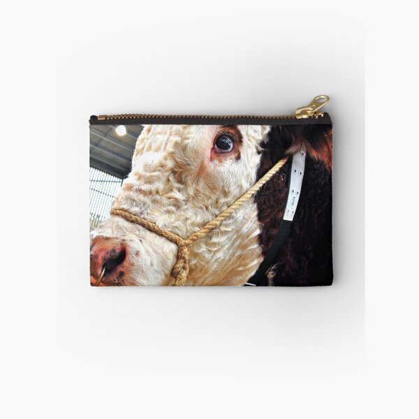Item preview, Pedigree Hereford Cow Cattle designed and sold by AndyEvansPhotos.