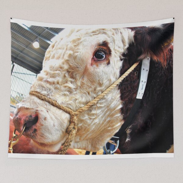 Item preview, Pedigree Hereford Cow Cattle designed and sold by AndyEvansPhotos.