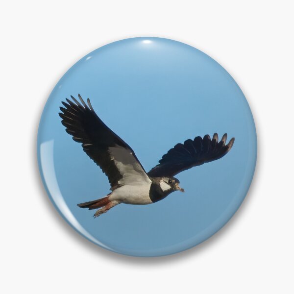 Item preview, Lap the  wings. Northern lapwing designed and sold by Jouko Lehto Photography.