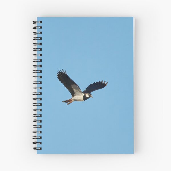 Item preview, Lap the  wings. Northern lapwing designed and sold by Jouko Lehto Photography.