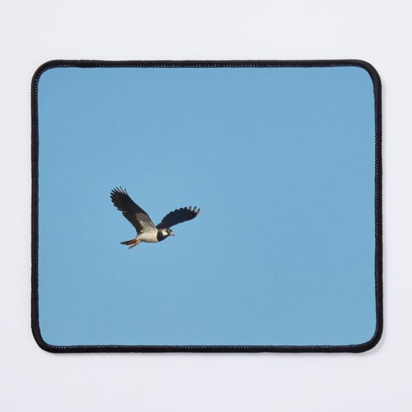 Item preview, Lap the wings. Northern lapwing designed and sold by Jouko Lehto Photography.