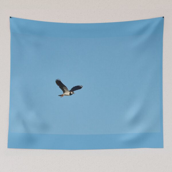 Item preview, Lap the  wings. Northern lapwing designed and sold by Jouko Lehto Photography.