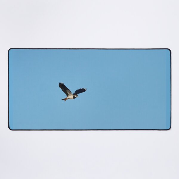 Item preview, Lap the wings. Northern lapwing designed and sold by Jouko Lehto Photography.