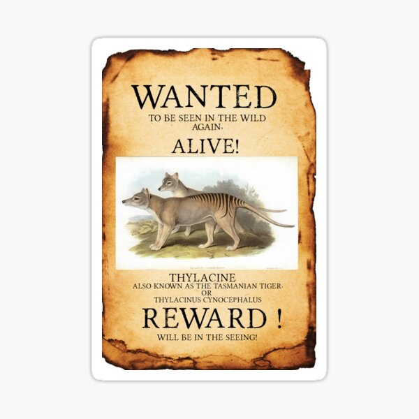 Item preview, Wanted - Thylacine designed and sold by TonyacDesigns.