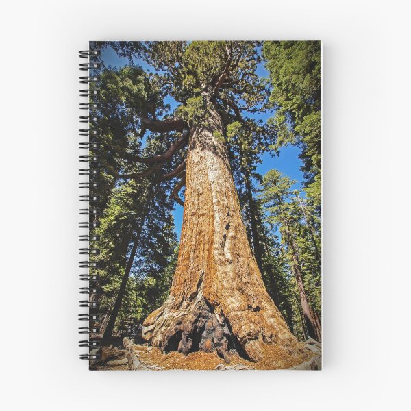 Artikelvorschau, Grizzly-Riesenmammutbaum - Mariposa Grove - Yosemite - Kalifornien - USA entworfen und verkauft von TonyCrehan.