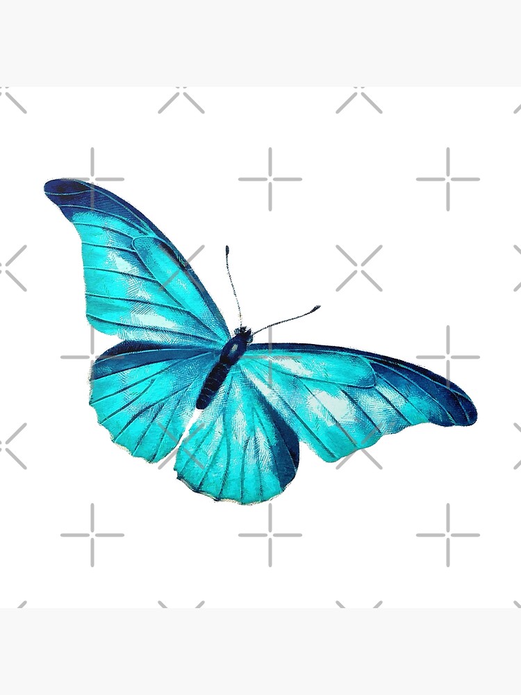 "Light Blue butterfly" Poster for Sale by Casiel31 Redbubble