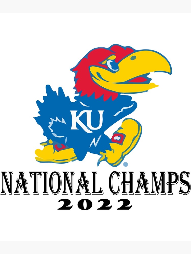 University of Kansas visual data 5