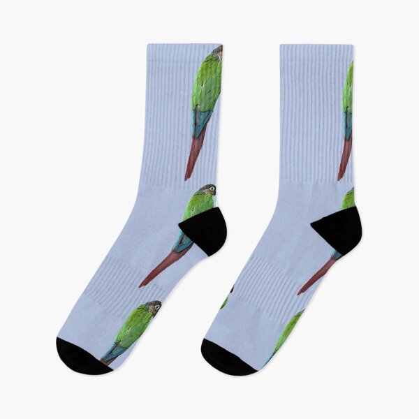 Item preview, Green Cheek Conure design | Conure | Small Parrot | Parakeet | Parrot lover designed and sold by TatianaLG.