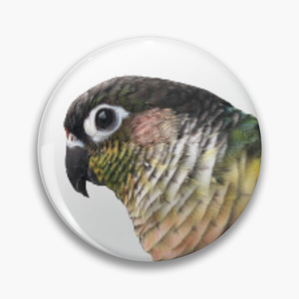 Item preview, Green Cheek Conure design | Conure | Small Parrot | Parakeet | Parrot lover designed and sold by TatianaLG.