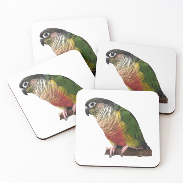 Item preview, Green Cheek Conure design | Conure | Small Parrot | Parakeet | Parrot lover designed and sold by TatianaLG.