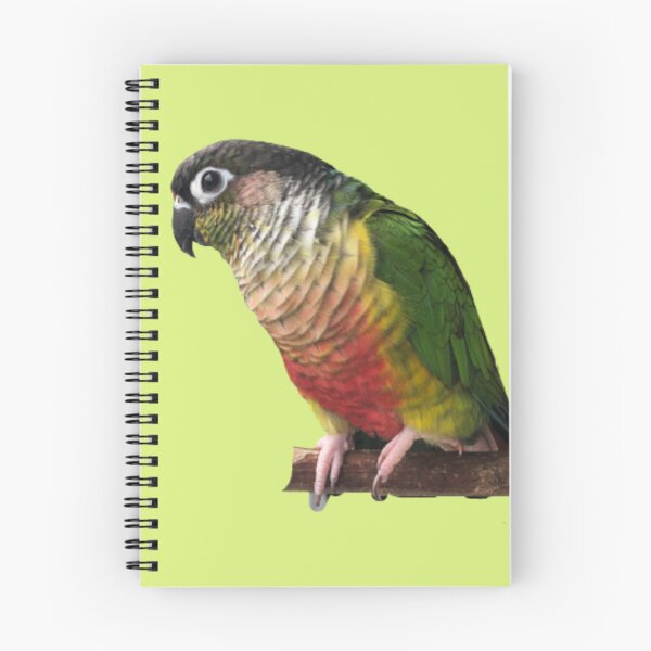 Item preview, Green Cheek Conure design | Conure | Small Parrot | Parakeet | Parrot lover designed and sold by TatianaLG.