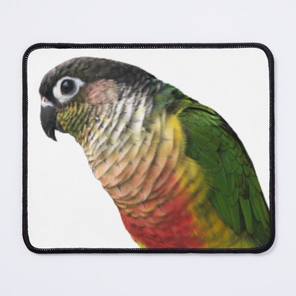 Item preview, Green Cheek Conure design | Conure | Small Parrot | Parakeet | Parrot lover designed and sold by TatianaLG.