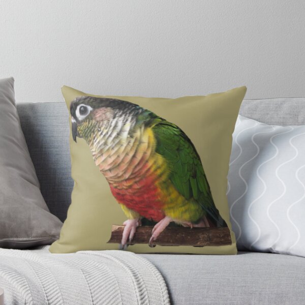 Item preview, Green Cheek Conure design | Conure | Small Parrot | Parakeet | Parrot lover designed and sold by TatianaLG.