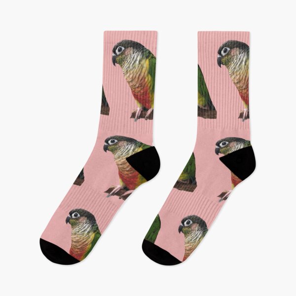 Item preview, Green Cheek Conure design | Conure | Small Parrot | Parakeet | Parrot lover designed and sold by TatianaLG.
